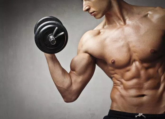 Lượng protein không được nạp đủ thì cơ bắp của bạn sẽ dần bị mất đi (Ảnh: Internet) Lượng protein không được nạp đủ thì cơ bắp của bạn sẽ dần bị mất đi (Ảnh: Internet)