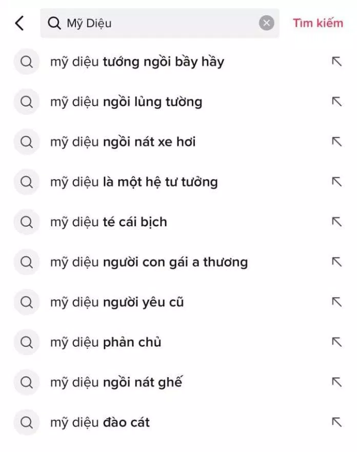 Những tìm kiếm "khó đỡ" liên quan đến Mỹ Diệu (Ảnh: Vitamin Mèo)