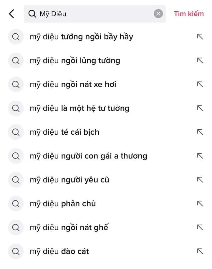 Những tìm kiếm "khó đỡ" liên quan đến Mỹ Diệu (Ảnh: Vitamin Mèo)