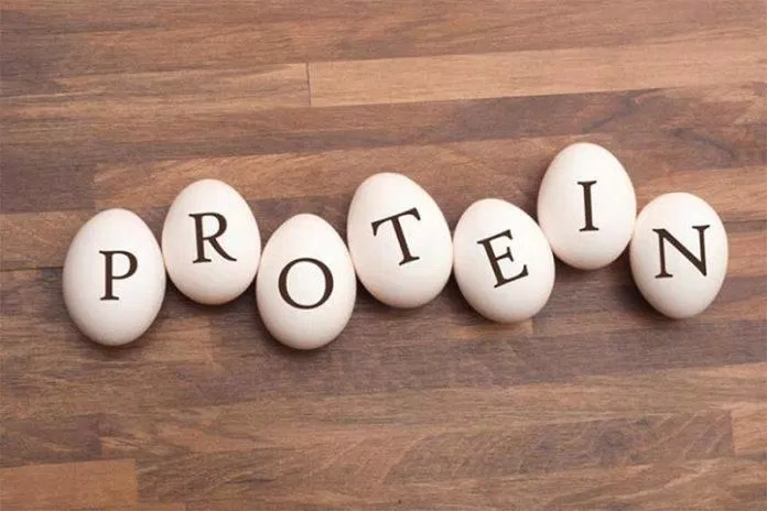 Cơ thể chúng ta không thể khỏe mạnh nếu thiếu protein (Ảnh: Internet) Cơ thể chúng ta không thể khỏe mạnh nếu thiếu protein (Ảnh: Internet)
