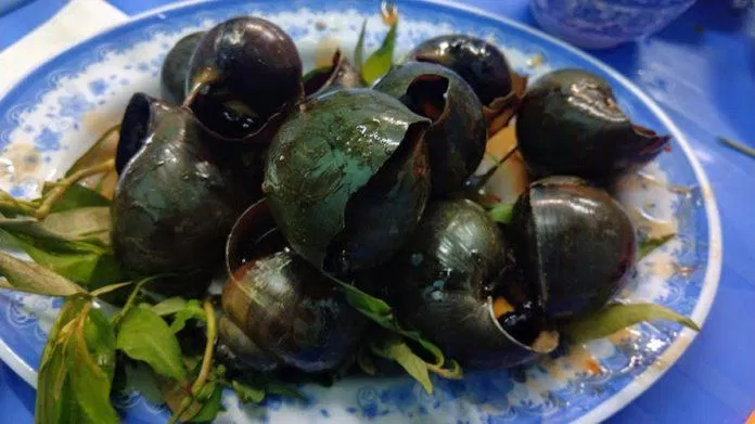 ốc