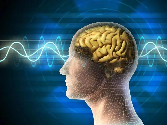 Sô cô la đen có thể cải thiện chức năng não (Ảnh: Internet) Sô cô la đen có thể cải thiện chức năng não (Ảnh: Internet)