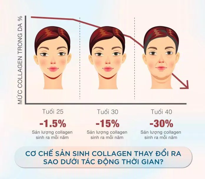 Collagen tự nhiên từ thực phẩm có lợi ích gì? (Nguồn: Internet) Collagen tự nhiên từ thực phẩm có lợi ích gì? (Nguồn: Internet)