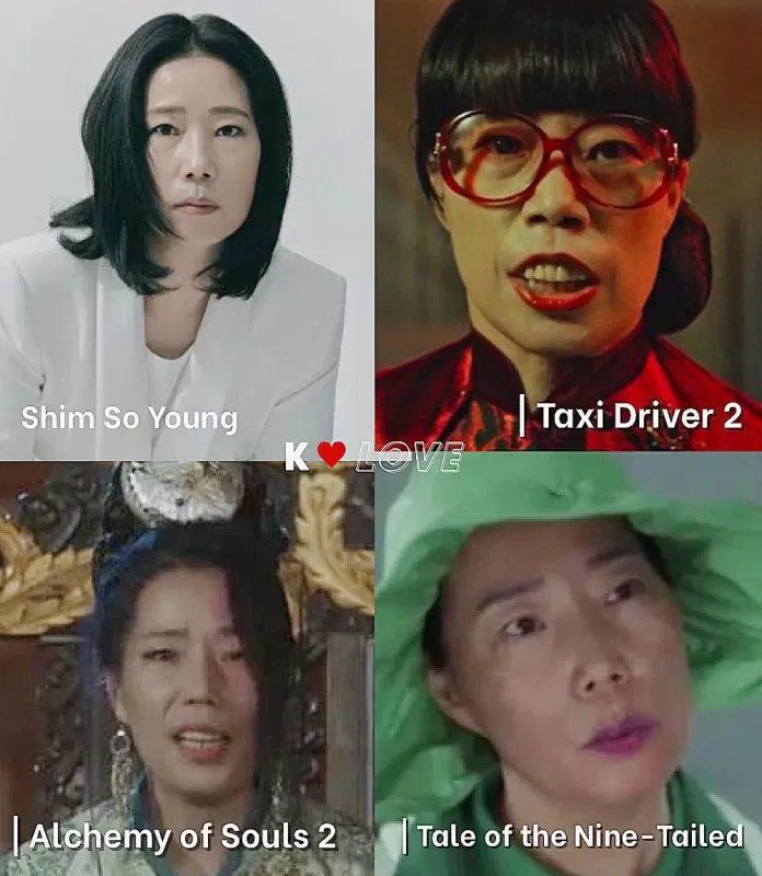 Shim So Young từng tham gia nhiều vai phụ trong các bộ phim truyền hình nổi tiếng