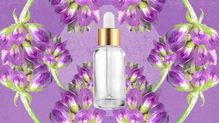 Bakuchiol được coi là giải pháp thay thể cho retinol nổi tiếng nhất (Ảnh: Internet)