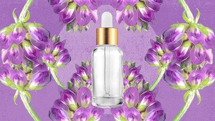 Bakuchiol được coi là giải pháp thay thể cho retinol nổi tiếng nhất (Ảnh: Internet)