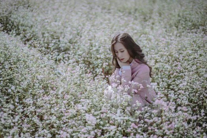 Mùa tam giác mạch Đà Lạt