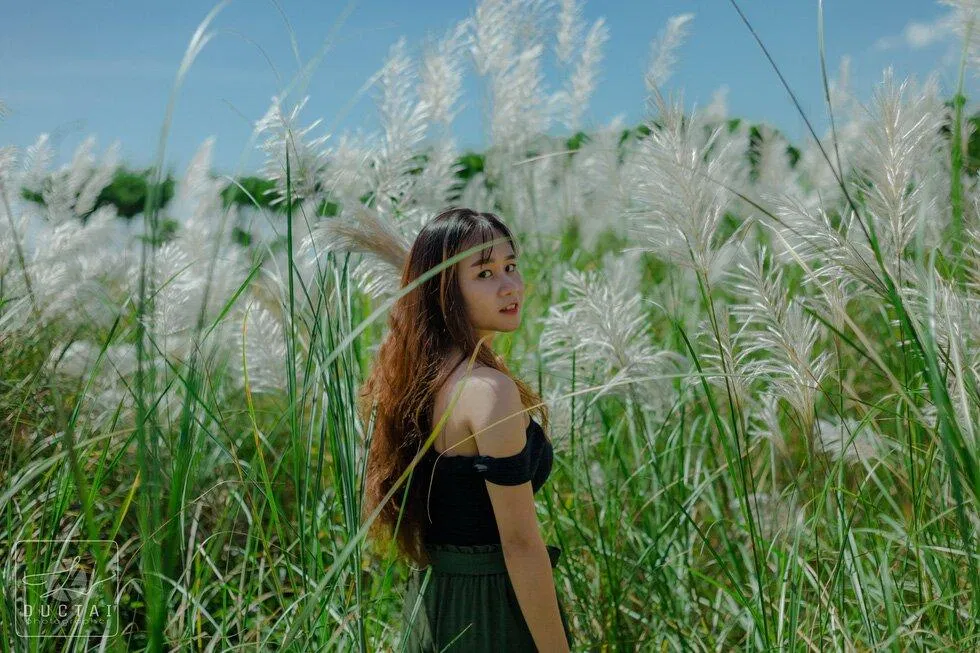 Mùa cỏ lau Đà Lạt
