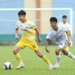 Những niềm hy vọng mới