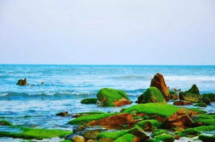 Bãi biển Hoành Sơn - Hà Tĩnh (Ảnh: Internet)