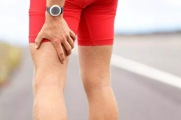 The hamstring muscle is the muscle group in the back of your thigh (Image: Internet)