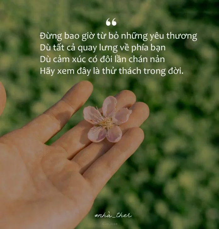 Bài thơ hay về cuộc sống vô thường (Ảnh: Nhà Ther)