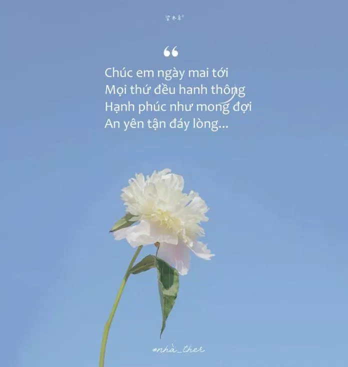 Bài thơ hay về cuộc sống bình yên (Ảnh: Nhà Ther)