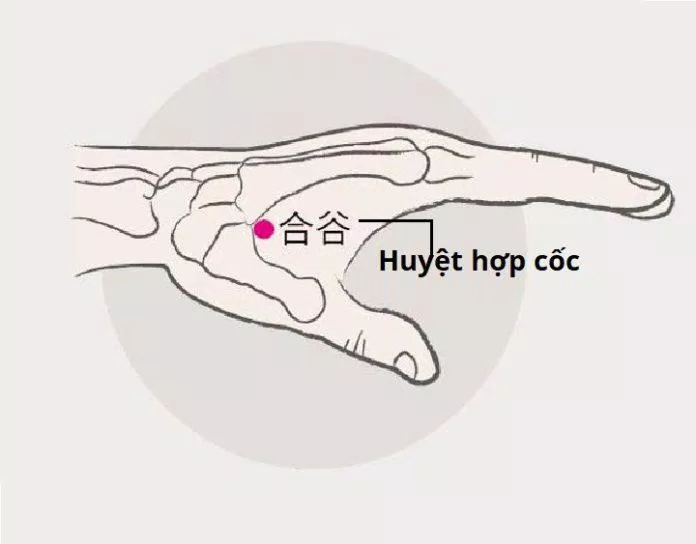 Bấm huyệt chữa mất ngủ: Huyệt Hợp cốc (Ảnh: Internet)