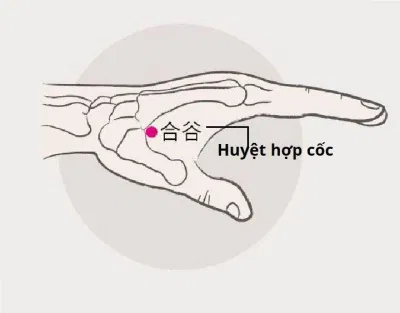 Bấm huyệt chữa mất ngủ: Huyệt Hợp cốc (Ảnh: Internet)