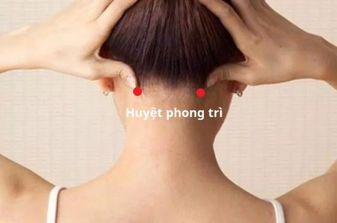 Bấm huyệt chữa mất ngủ: Huyệt phong trì (Ảnh: Internet)