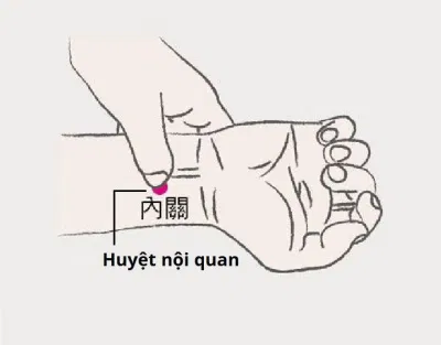 Bấm huyệt chữa mất ngủ: Huyệt nội quan (Ảnh: Intern(Ảnh: Internet)et)