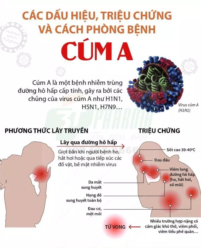 Phương pháp điều trị cúm A (Nguồn: Internet) Phương pháp điều trị cúm A (Nguồn: Internet)