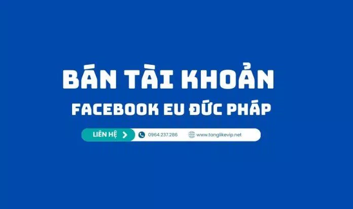 Dịch vụ tăng like Tiktok, Facebook uy tín, giá tốt nhất hiện nay. (Ảnh: Internet)