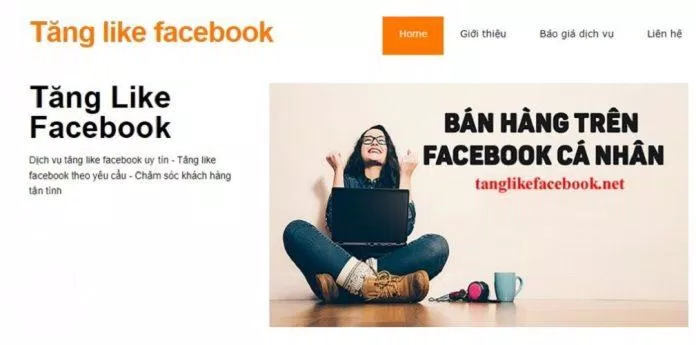 Dịch vụ tăng like Tiktok, Facebook uy tín, giá tốt nhất hiện nay. (Ảnh: Internet)