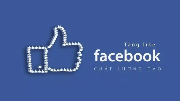 Dịch vụ tăng like Tiktok, Facebook uy tín, giá tốt nhất hiện nay. (Ảnh: Internet)