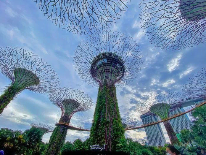 Gardens By the Bay (Nguồn: thaovan99) Gardens By the Bay (Nguồn: thaovan99)