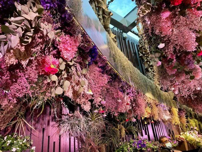 Floral Fantasy (Nguồn: thaovan99) Floral Fantasy (Nguồn: thaovan99)