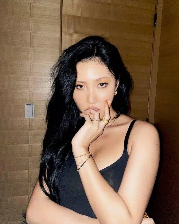 Hwasa (Ảnh: Internet)