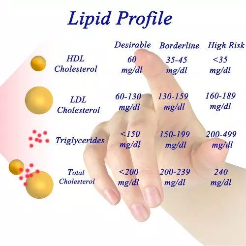 Xét nghiệm tăng Cholesterol toàn phần: bình thường nồng độ cholesterol trong cơ thể ở mức 4 - 5 mmol/l (Nguồn: Internet) Xét nghiệm tăng Cholesterol toàn phần: bình thường nồng độ cholesterol trong cơ thể ở mức 4 - 5 mmol/l (Nguồn: Internet)