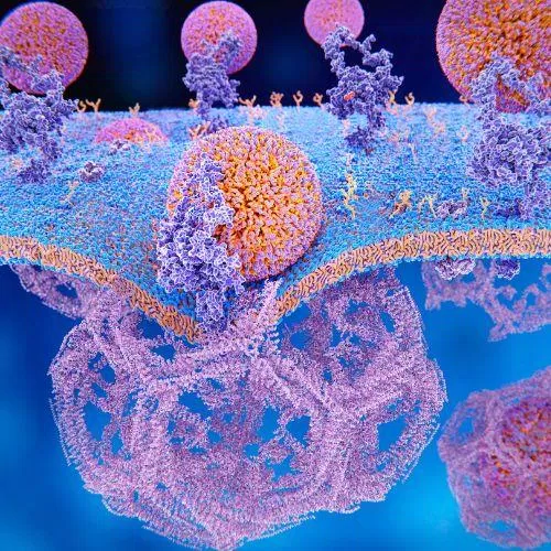 Triglycerides chứa 3 axit béo. Sau khi vào cơ thể, triglyceride sẽ được phân tách ra và kết hợp với cholesterol để tạo thành năng lượng (Nguồn: Internet) Triglycerides chứa 3 axit béo. Sau khi vào cơ thể, triglyceride sẽ được phân tách ra và kết hợp với cholesterol để tạo thành năng lượng (Nguồn: Internet)