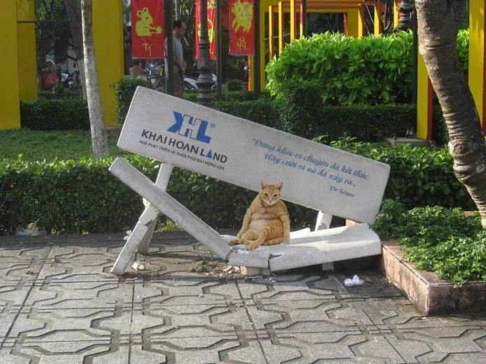 (Ảnh: Internet)