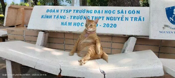 Mỹ Diệu ngồi nát ghế trường THPT Nguyễn Trãi (Ảnh: Internet)