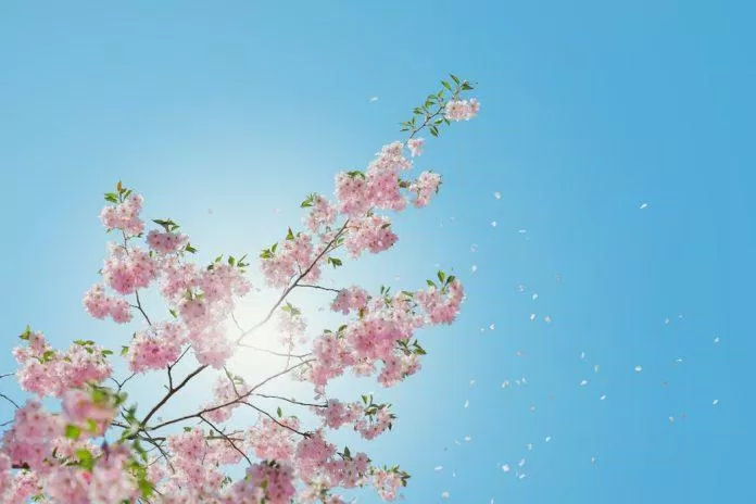 6 điều kiêng kị trong tiết xuân phân