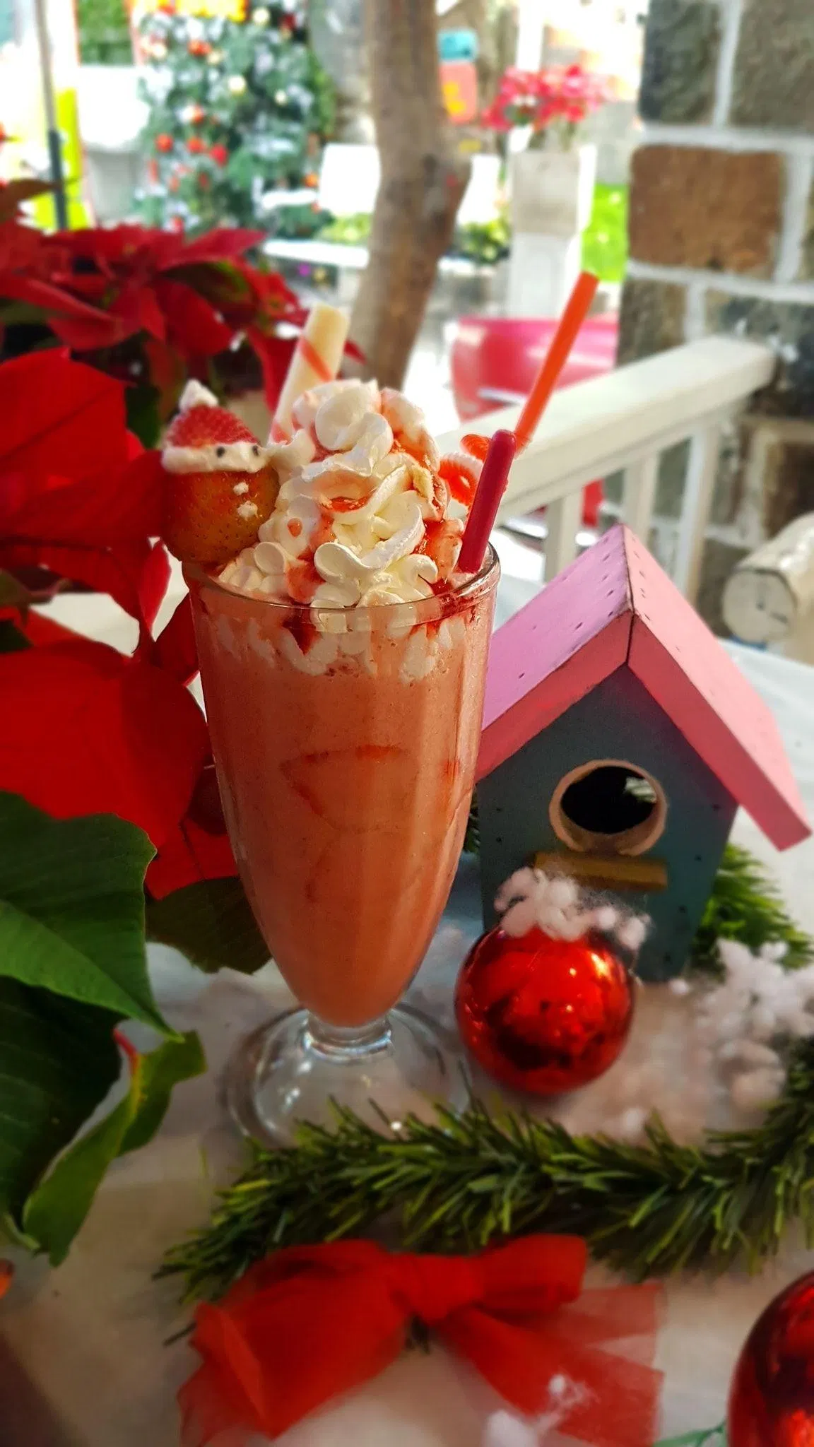 City House (Ảnh: Internet)