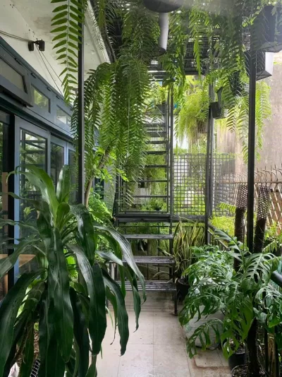 Saigon Chic (Ảnh: Internet)
