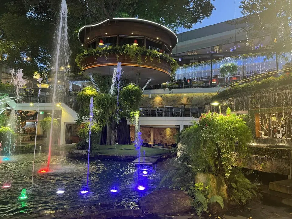 Du Miên Garden Cafe (Ảnh: Internet)