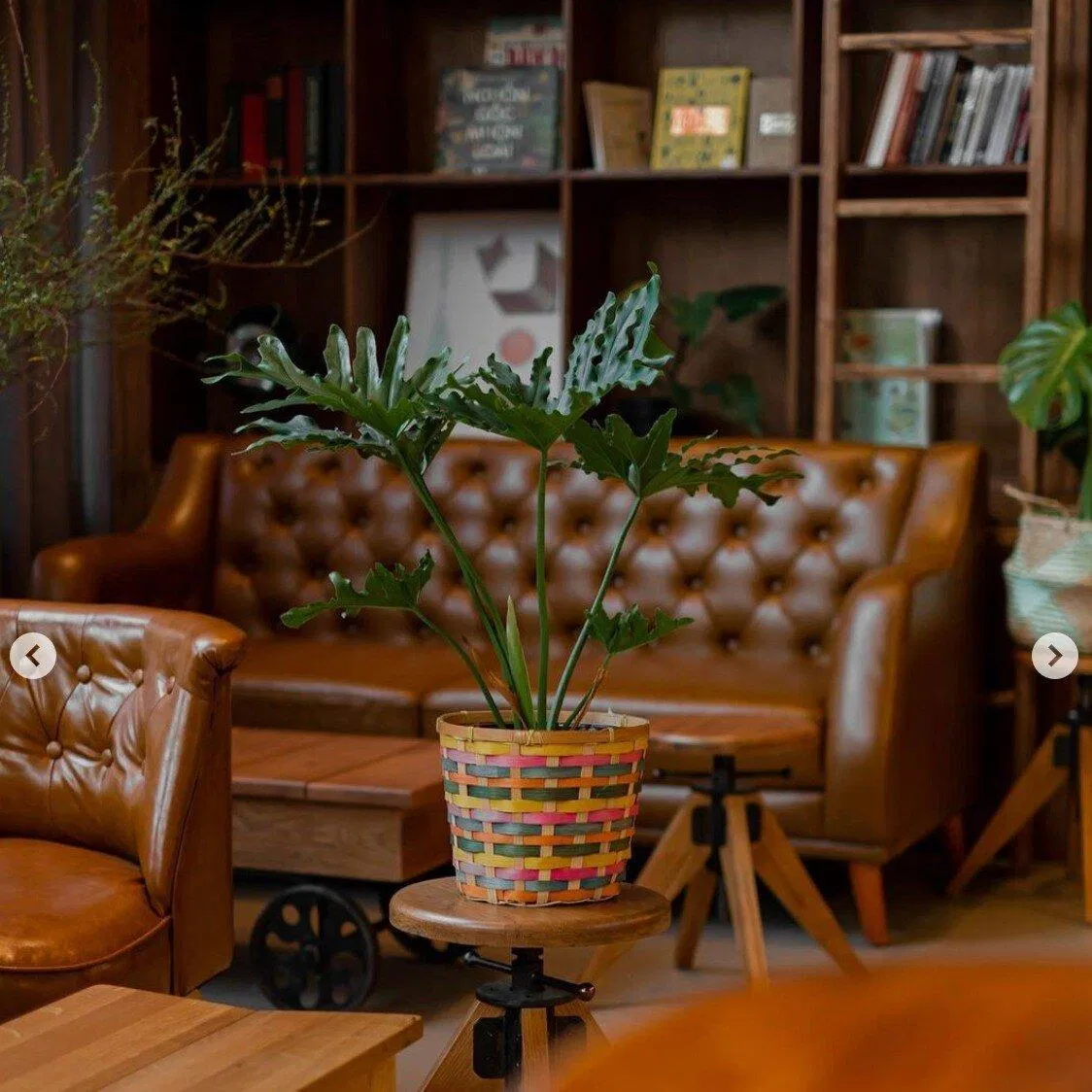 LAVA coffee (Ảnh: Internet)