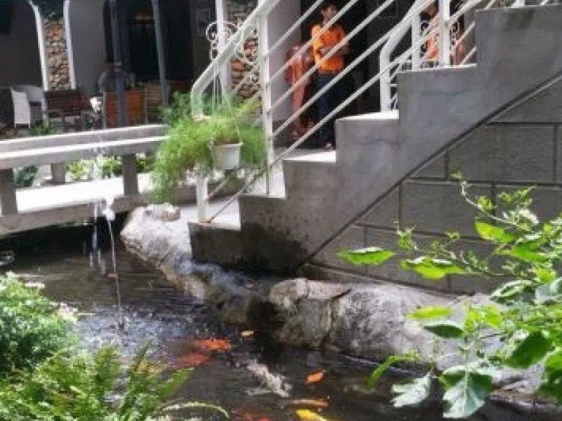 Quán cà phê Thủy Mộc (Ảnh: Internet)