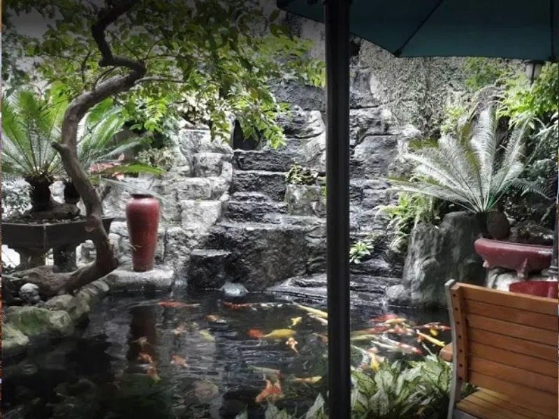 Quán cà phê Thủy Mộc (Ảnh: Internet)