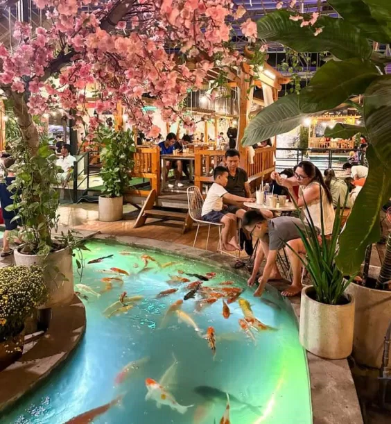 Koi Lands Coffee