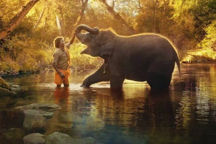 3 phim tài liệu Netflix đạt giải Oscar (Ảnh: Netflix)