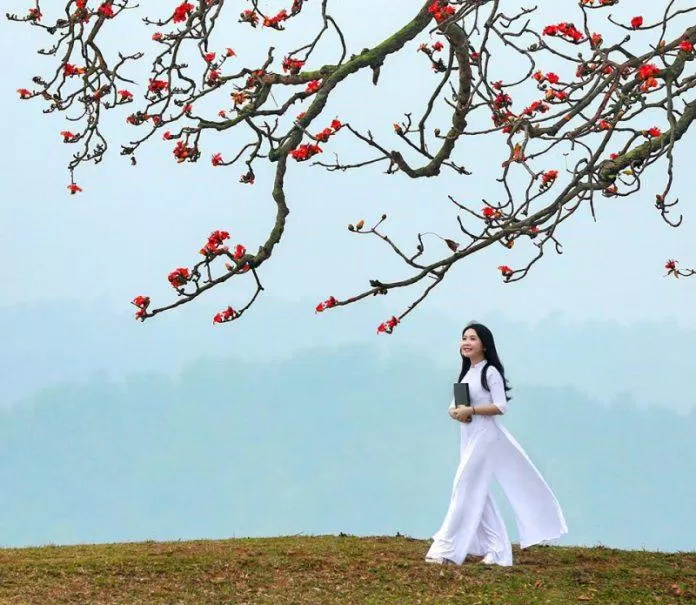 Bài thơ tháng 3 hay, lãng mạn nhất (Ảnh: Internet)