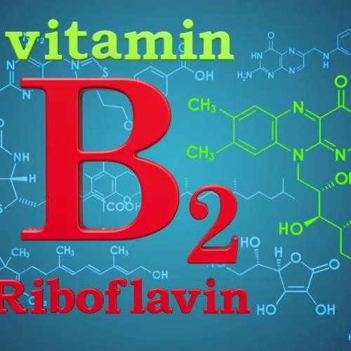 Riboflavin liều cao rất có ích trong việc chống lại chứng đau nửa đầu. Nguồn: Internet