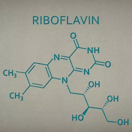 Lượng vitamin B2 nên dùng mỗi ngày khác nhau tùy theo giới tính và độ tuổi. Nguồn: Internet Lượng vitamin B2 nên dùng mỗi ngày khác nhau tùy theo giới tính và độ tuổi. Nguồn: Internet