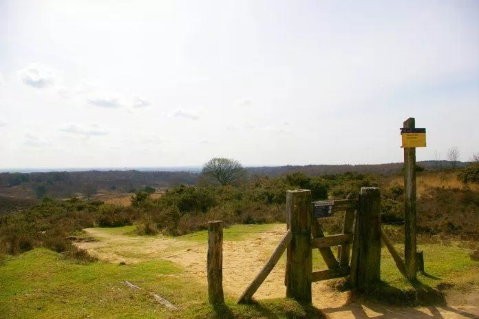 Vườn quốc gia De Hoge Veluwe - Nguồn: Internet Vườn quốc gia De Hoge Veluwe - Nguồn: Internet