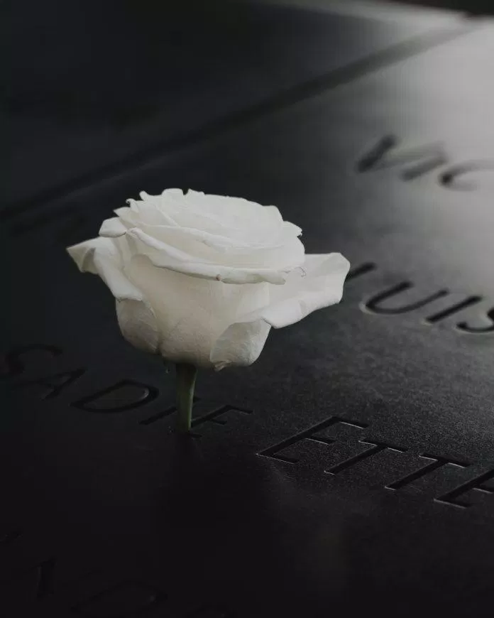 Ý nghĩa hoa hồng trắng trong đám tang