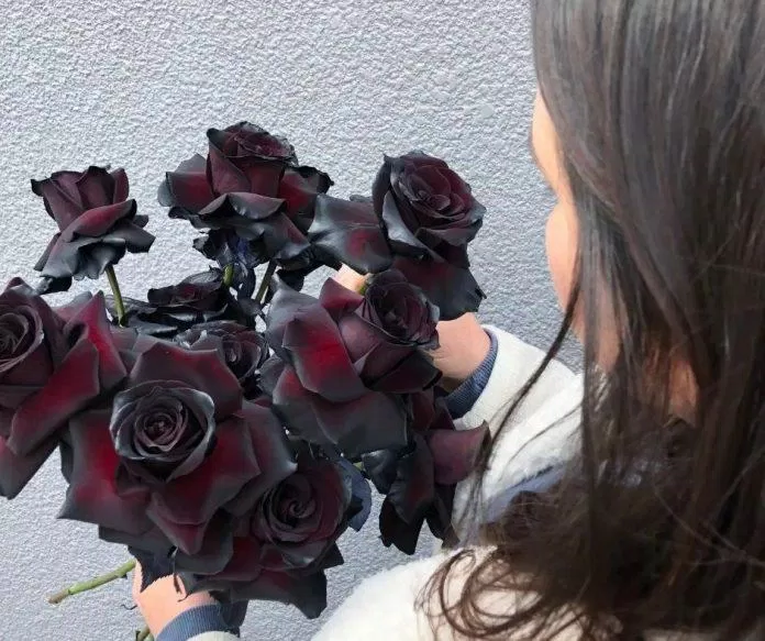 Ý nghĩa hoa hồng đen: Thay đổi và can đảm
