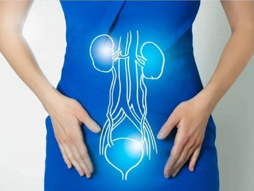 Phụ nữ sau mãn kinh và nam giới trên 40 tuổi đều gặp phải tình trạng tiểu không tự chủ (Nguồn: Internet).