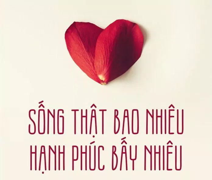 Đoạn văn nghị luận xã hội của HSG hay đặc sắc nhất. (Ảnh: Internet)