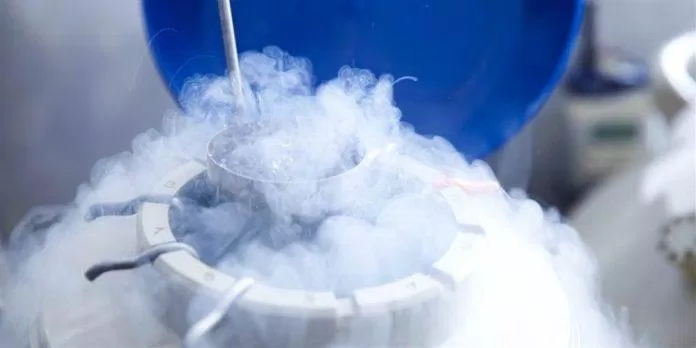 Theo trang tin VICE, ngày càng nhiều phụ nữ đang có mong muốn bảo quản trứng của mình bằng cách đông lạnh, dù chi phí của việc này là không hề rẻ (Ảnh: Internet) Theo trang tin VICE, ngày càng nhiều phụ nữ đang có mong muốn bảo quản trứng của mình bằng cách đông lạnh, dù chi phí của việc này là không hề rẻ (Ảnh: Internet)
